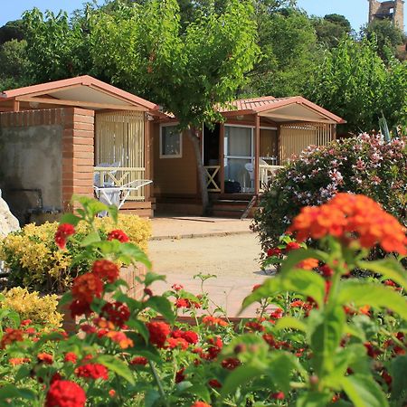 Camping Roca Grossa Calella Exterior foto