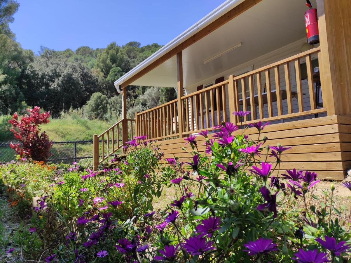 Camping Roca Grossa Calella Exterior foto