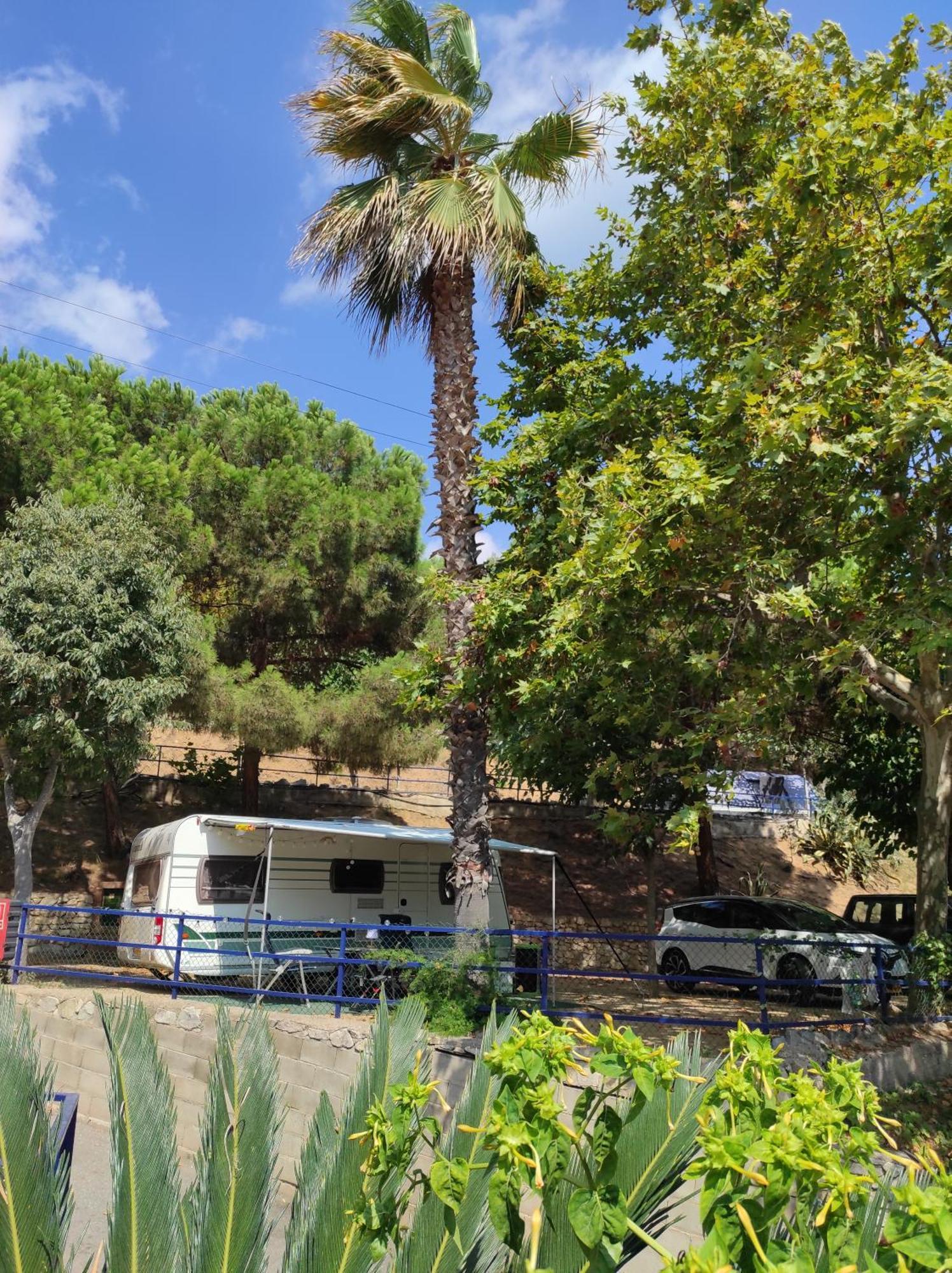 Camping Roca Grossa Calella Exterior foto