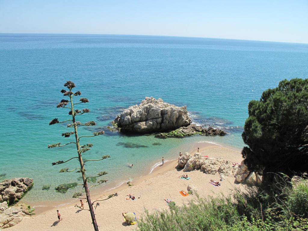 Camping Roca Grossa Calella Exterior foto